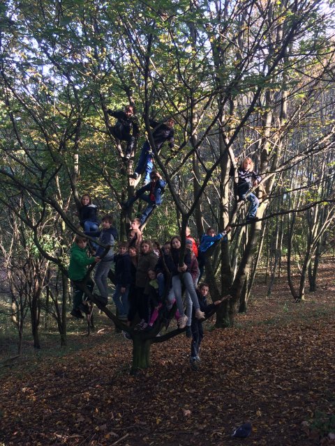 Schullandheim Ilzham 2017