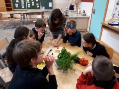 SinneHPA 1 SinneHPA 1